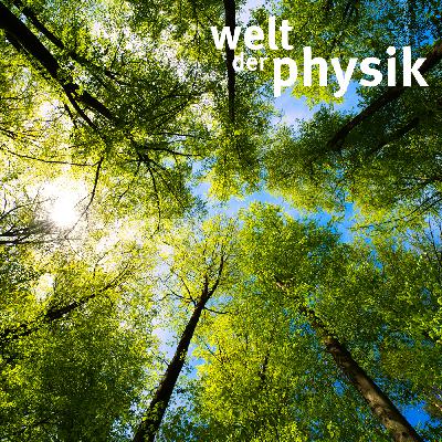Folge 380 - CO2-Entnahme aus der Atmosphäre Folge 380 - CO2-Entnahme aus der Atmosphäre