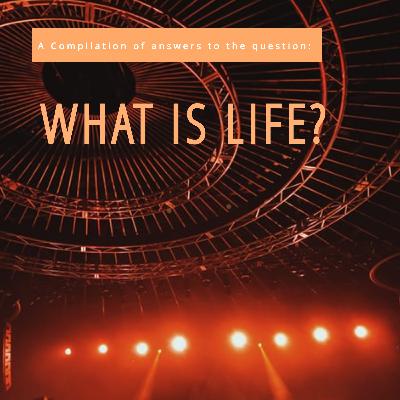 What Is Life? - "Doing" from the Book "Life 101" by Peter McWilliams