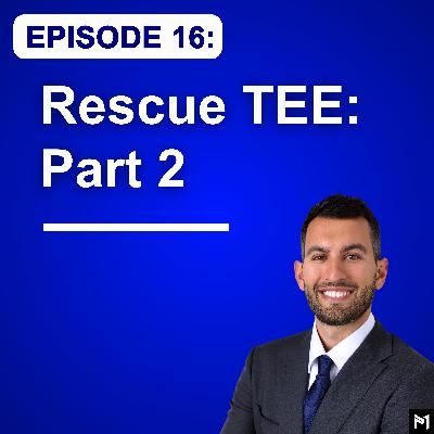 16. Rescue TEE: Diagnoses and Shock States - Part 2 (Transesophageal Echocardiography)