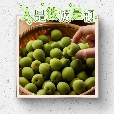 72｜梅子夏酿，醉美春光：从梅子酒爱好者到创业人的无悔踩坑之旅