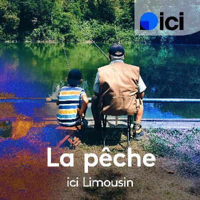 La brème commune