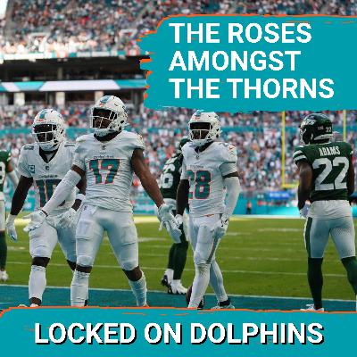 Welcome To An Out Of Touch, Optimistic Miami Dolphins Outlook | Celebrating Individual Wins In 2025