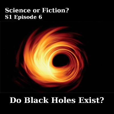 Do Black Holes Exist?