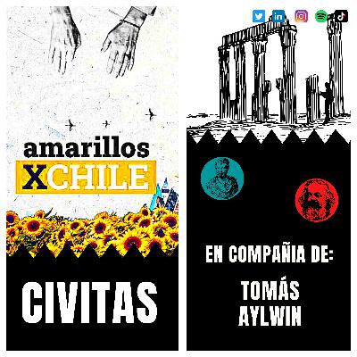 Las demandas y convicciones de Amarillos por Chile