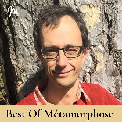 Métamorphose, éveille ta conscience !-Ce que les arbres nous enseignent avec Jean-Marie Defossez [rediffusion]