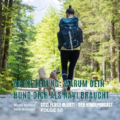#50 Orientierung: Warum dein Hund dich draußen als Navigationssystem braucht #50 Orientierung: Warum dein Hund dich draußen als Navigationssystem braucht