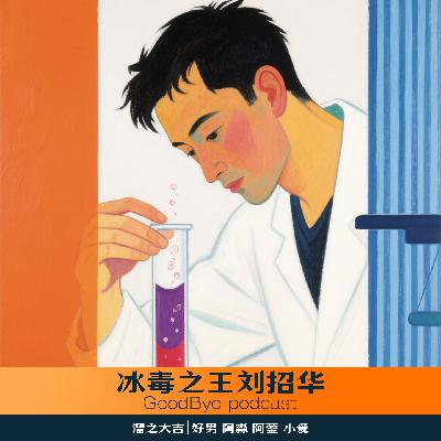 【44】《扫毒风暴》原型：冰毒之王刘招华