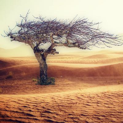 Climate Change : A hot topic