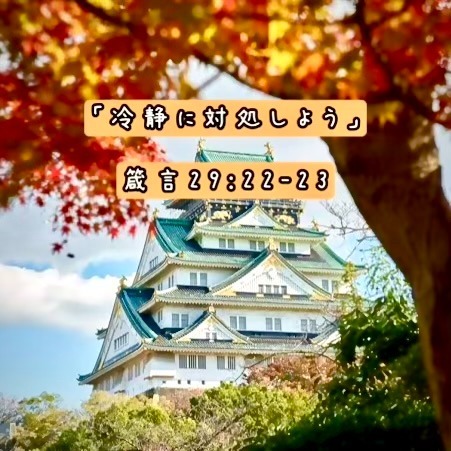 「冷静に対処しよう」箴言２９章２２-２３節