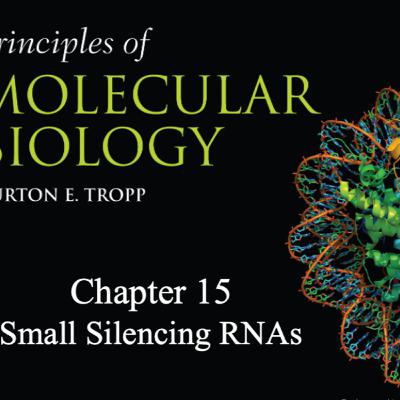 Small Silencing RNAs Tropp Chapter 15