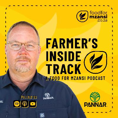 How to protect sunflower yields from heat stress and drought