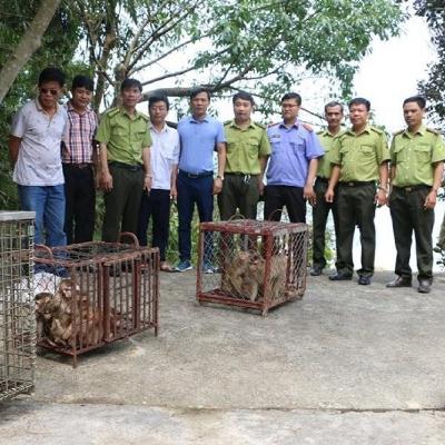 Tin trong nước - Cục Lâm nghiệp và Kiểm lâm tăng cường đấu tranh, xử lý các hành vi liên quan đến động vật hoang dã Tin trong nước - Cục Lâm nghiệp và Kiểm lâm tăng cường đấu tranh, xử lý các hành vi liên quan đến động vật hoang dã