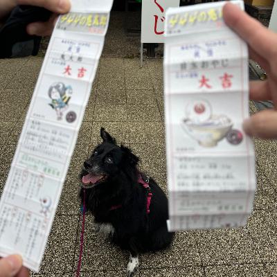 #15 乙幡啓子さんとプー子ちゃんと野川周辺〜調布駅前散歩(後半) #15 乙幡啓子さんとプー子ちゃんと野川周辺〜調布駅前散歩(後半)