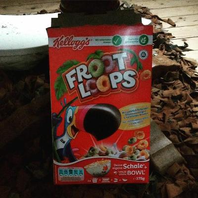 76 Hannah Vandenbussche (Rumours, The Spectors, Monami) 76 Hannah Vandenbussche (Rumours, The Spectors, Monami)