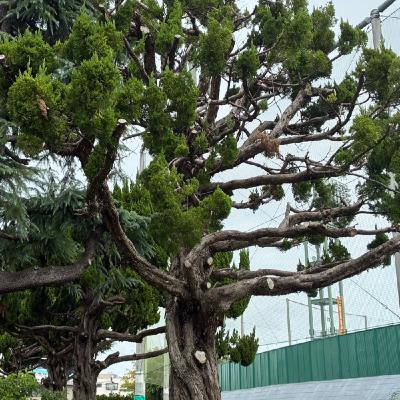 やっぱり変？この感覚👀【朝さんぽ10分】