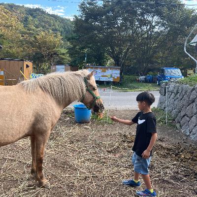 099 自然災害と自然体験（後編）〜「ただ、そこにいる」馬の存在　―つながりが心を癒すとき―