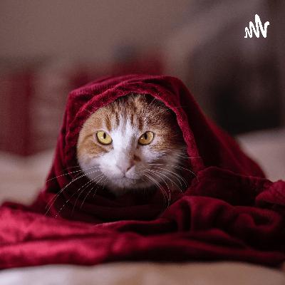 Historia y toma de bastilla