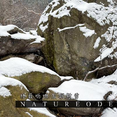 林薮呖呖·石涧新雪 林薮呖呖·石涧新雪