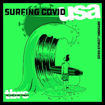TBRS - SURFING COVID-USA!