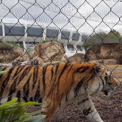 MSJ Callin Baton Rouge - Where to Take a New Visitor in Baton Rouge