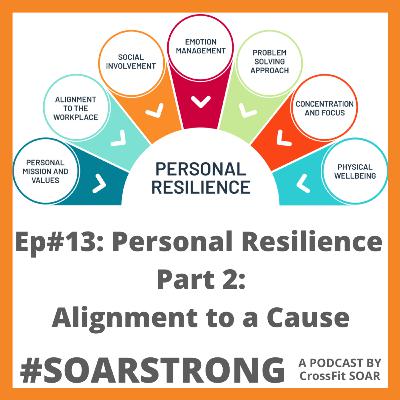 Ep#13: Personal Resilience Part 2 - Alignment to a Cause