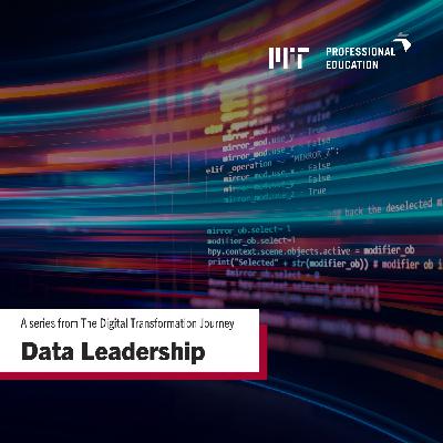 Data Leadership Ep. 3 │ Company Organization: Adjusting Methodology