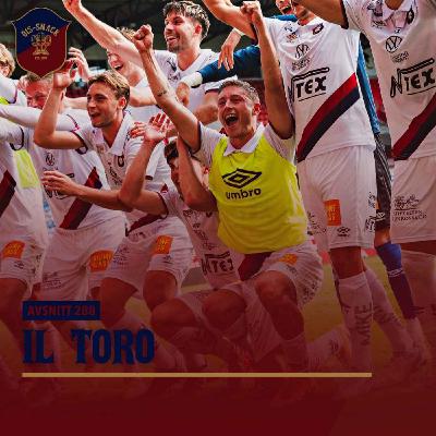 288. Il toro