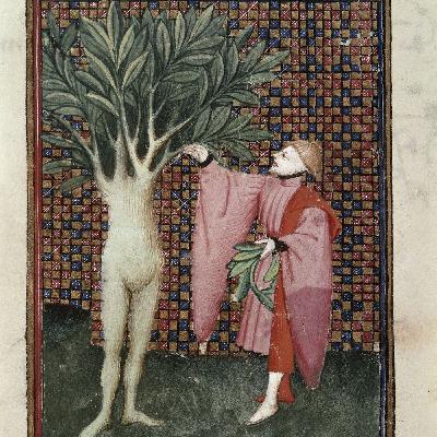 005 - Another Green World