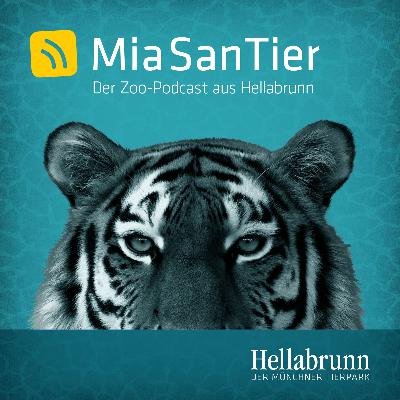 Eure Fragen - Hellabrunn antwortet