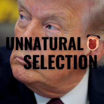 Trump Has Fully Lost the Plot | The War in Iran Continues, as Does the Economic Fallout