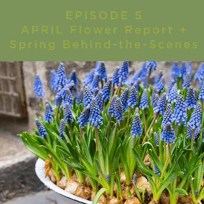 Ep. 5 The April Flower Report + Spring Behind the Scenes Ep. 5 The April Flower Report + Spring Behind the Scenes
