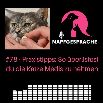 #78 - Praxistipps: So überlistest du die Katze