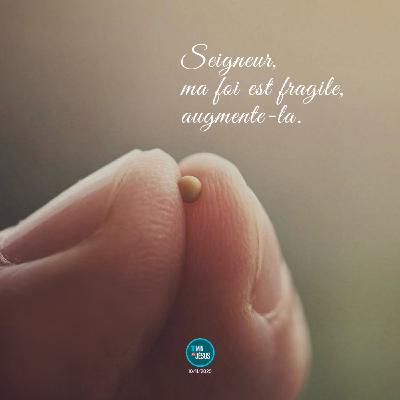 Ne pas perdre une miette (10-11-2025)