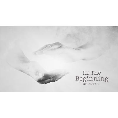 In the Beginning - Week 2