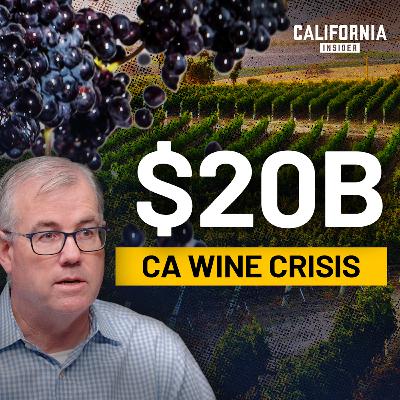 California’s Wine Industry Faces $20 Billion Loss—What’s Happening? | Stuart Spencer
