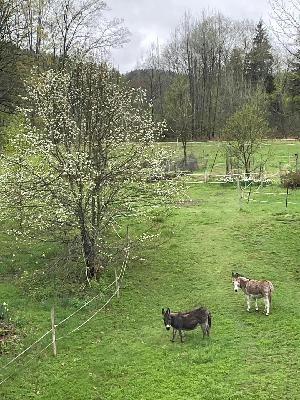 Episode 638 Featuring Almighty Todd - Homesteader, Sensei, Winemaker, and Our Reluctant Resident Philosopher