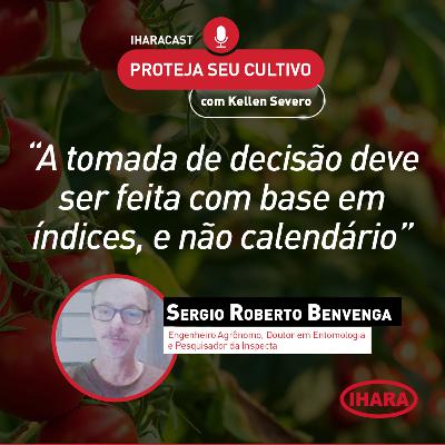 #42 - Manejo de pragas na cultura do tomate