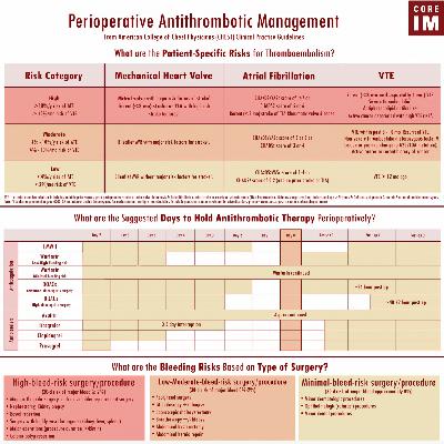 #117 Atrial Fibrillation: Gray Matters Segment