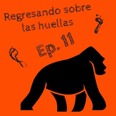 Regresando sobre las huellas. Episodio 11