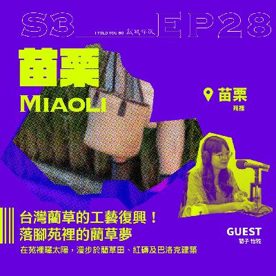 s3環島季 ep28｜ft."藺子工作室" 怡雅 - 台灣藺草的工藝復興！落腳苑裡的藺草夢