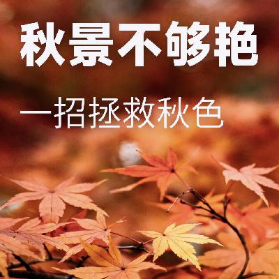 秋景不够艳?一招拯救秋色!-摄影早自习第2555天 秋景不够艳?一招拯救秋色!-摄影早自习第2555天