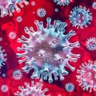 Corona Predictions - Sophia Koep