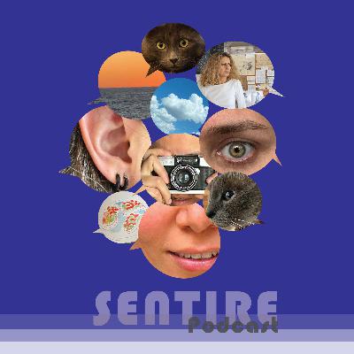 T2. EP 13 ARTE/UN VIAJE AL MUNDO INTERNO DE SANDRA PANI .