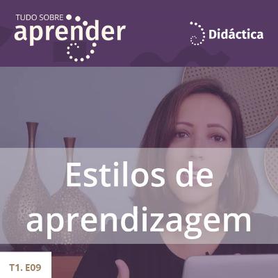 T1.09 - Estilos de Aprendizagem T1.09 - Estilos de Aprendizagem