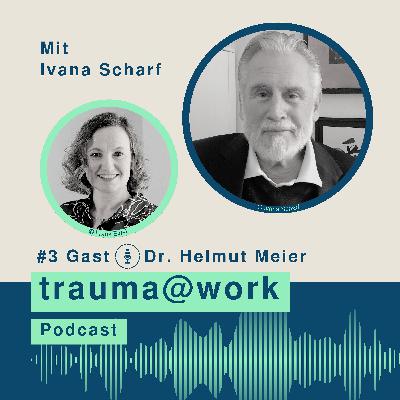 #3 Vom Trauma zur Transformation #3 Vom Trauma zur Transformation