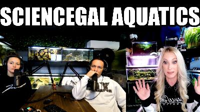 Aquariums Unfiltered - Episode 17 - Sciencegal aquatics - The king of DIY - Joey Mullen