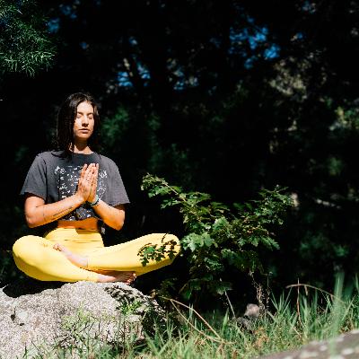 Bi-Weekly Meditation Group "Ground, Surround, Connect" 10/20/2021