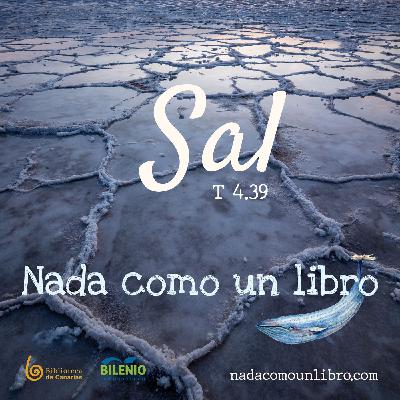 Sal (T4 E39) Sal (T4 E39)