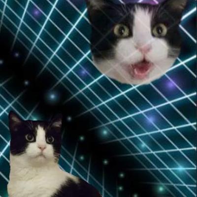 Magical Jobcat Activation Sequence!