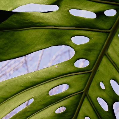 Make it more but make it less Make it more but make it less